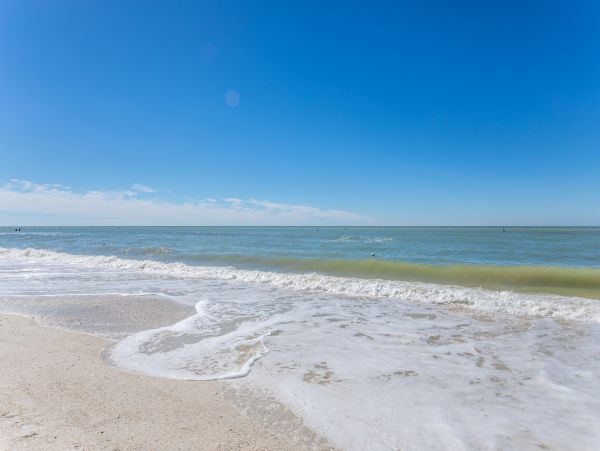 Fort Myers Condo 1018967