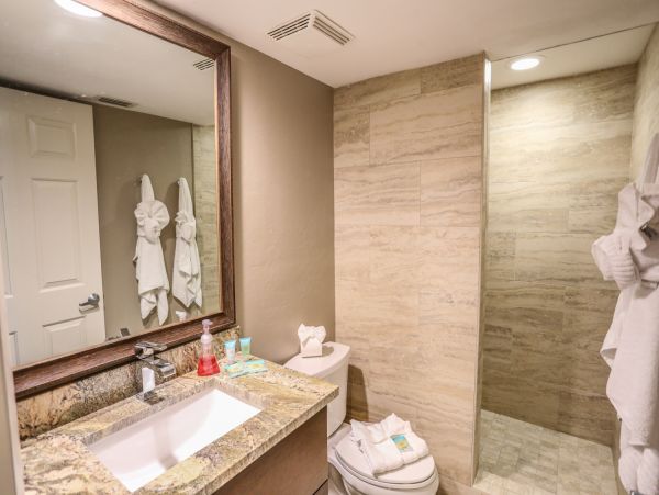 Fort Myers Condo 1019107