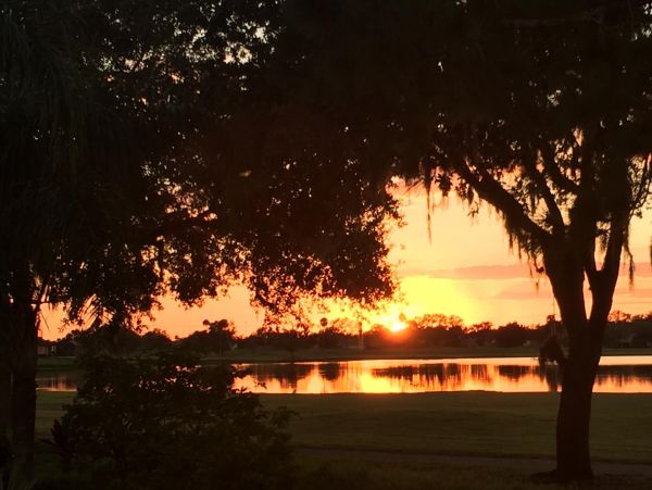 Palmetto Florida Vacation Rental | Bradenton Pool Home with Lake Views