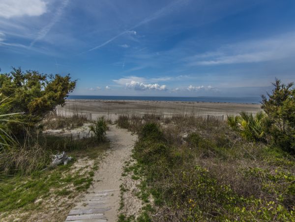 Folly Beach Home 1019392