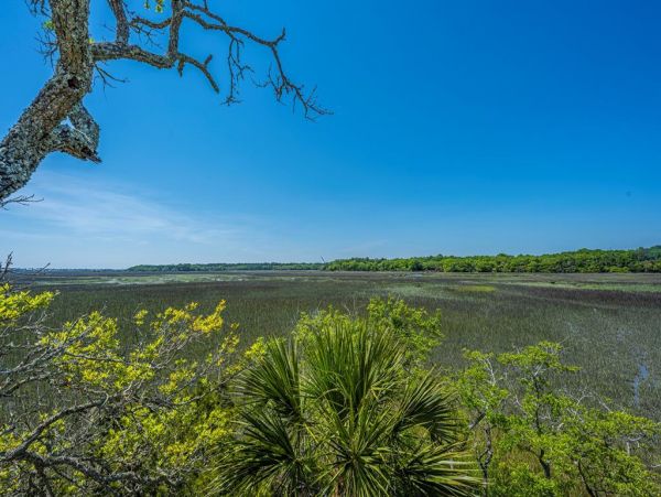 Folly Beach Home 1019417