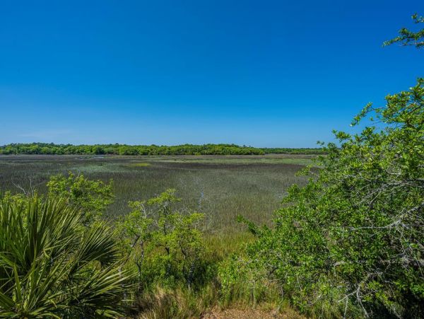 Folly Beach Home 1019417