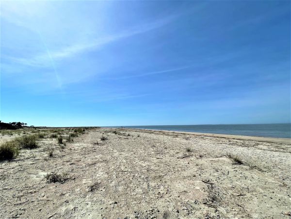 Folly Beach Home 1019420