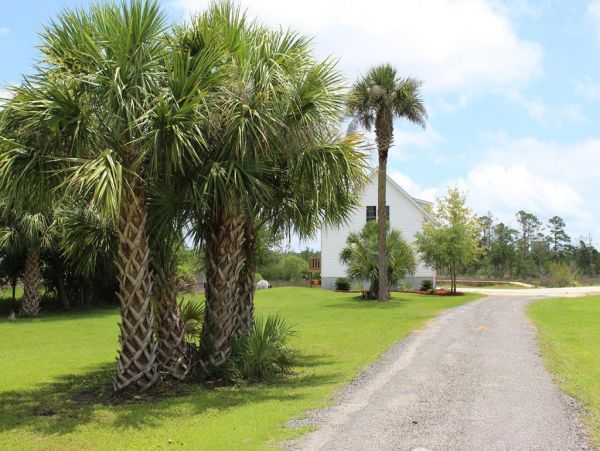 Folly Beach Condo 1019423