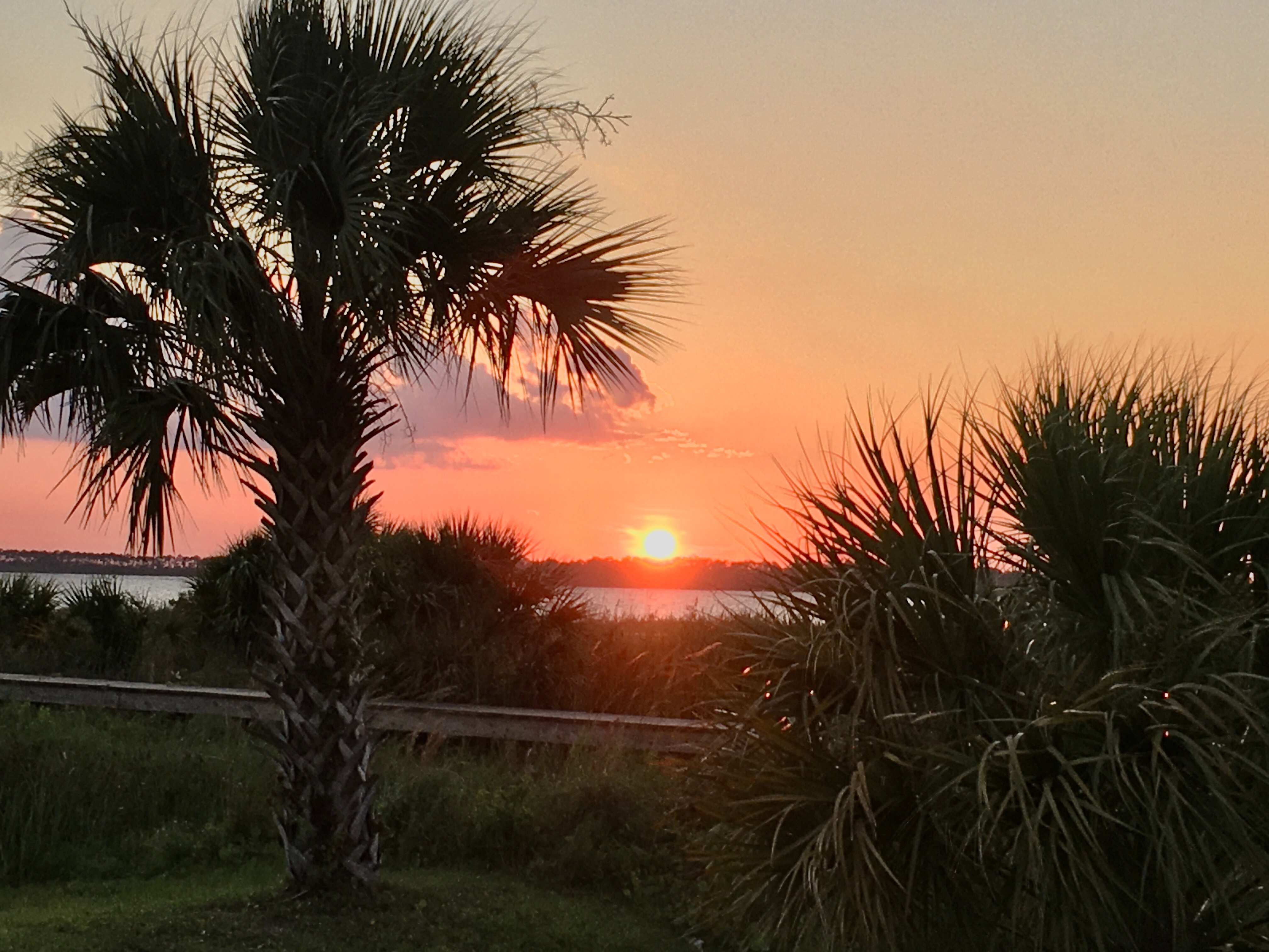 Folly Beach Home 1019440