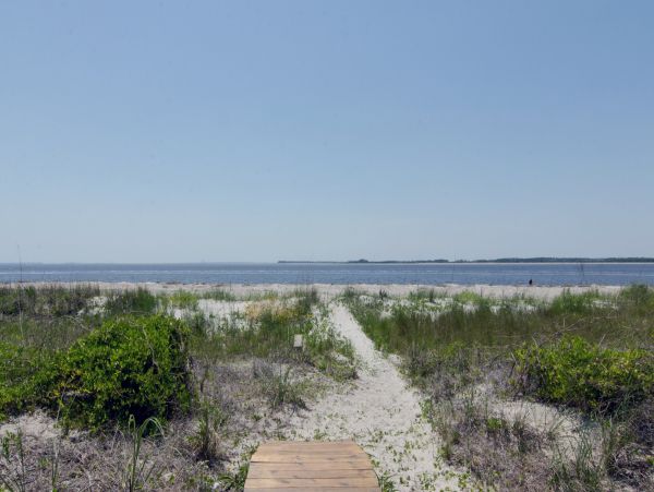 Folly Beach Home 1019440
