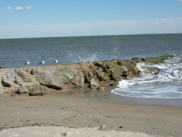 Folly Beach Condo 1019447