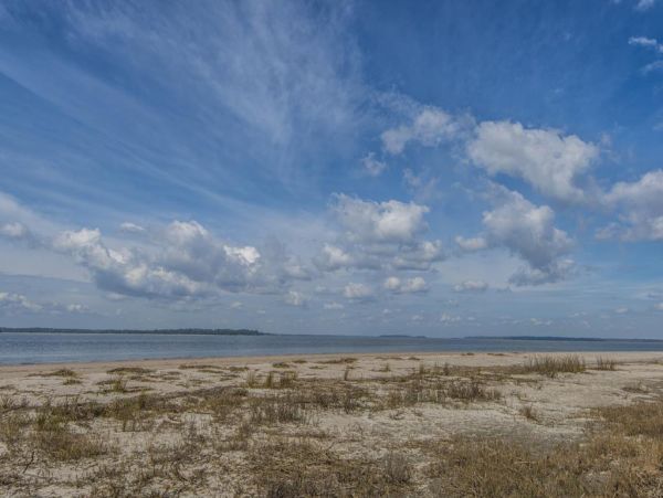 Folly Beach Home 1019448