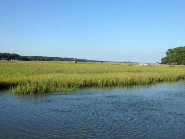 Folly Beach Home 1019461