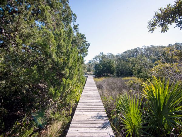 Folly Beach Home 1019479