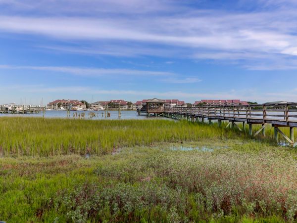 Folly Beach Condo 1019498