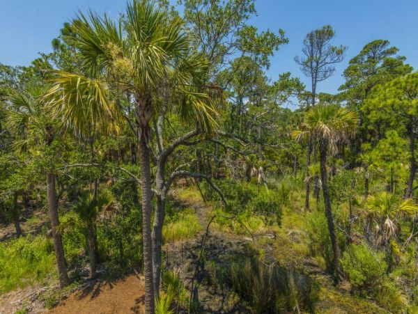 Folly Beach Home 1019507
