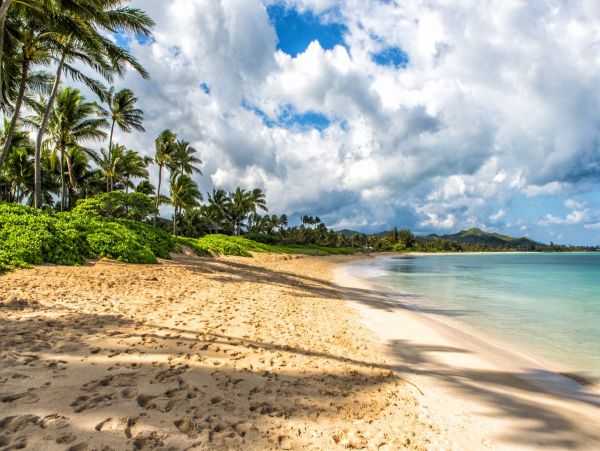 Kailua 3 Bedroom Vacation House Beach Views Sleeps 10