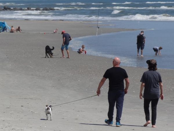 Folly Beach Condo 1019522