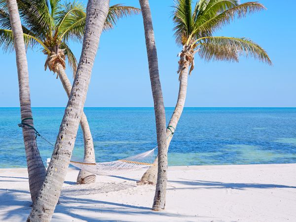 Bayfront Vacation Home with Guest House in Islamorada