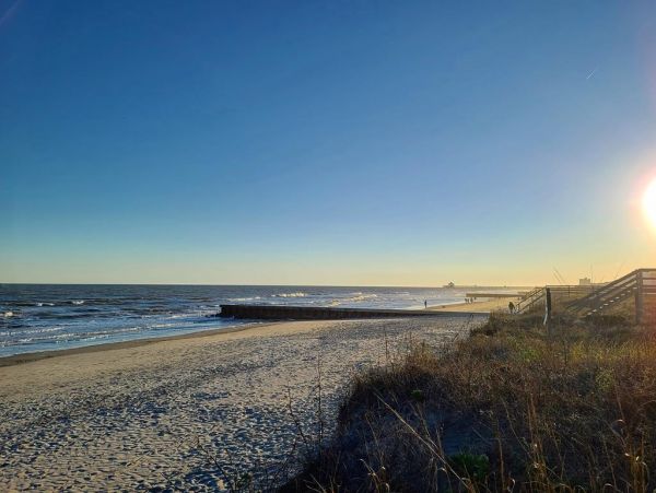Folly Beach Home 1019529