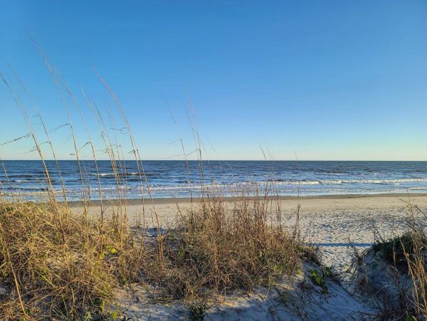 Folly Beach Home 1019529