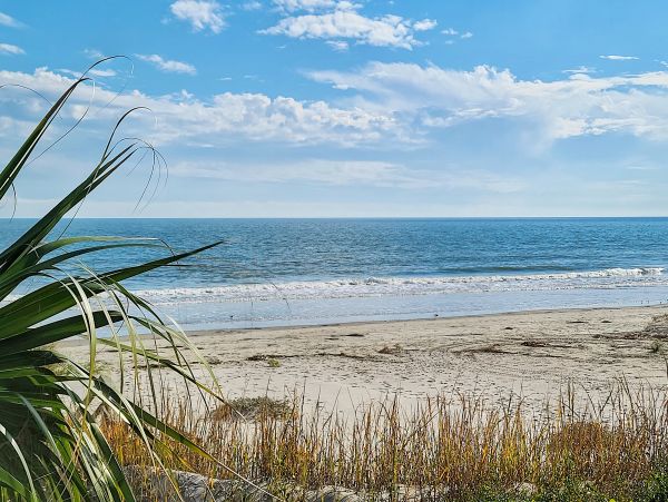 Folly Beach Home 1019535