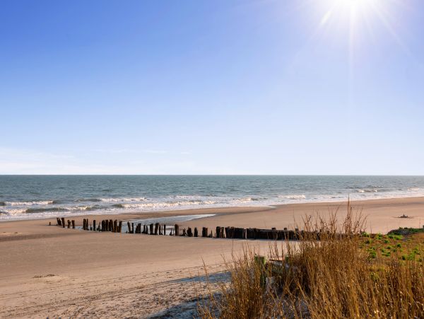 Folly Beach Home 1019540