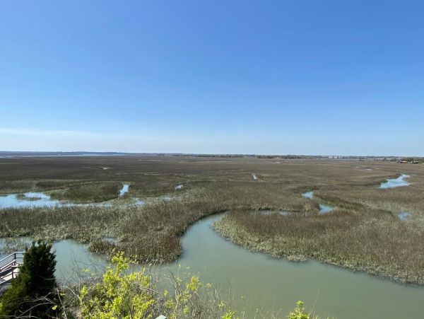 Folly Beach Condo 1019544