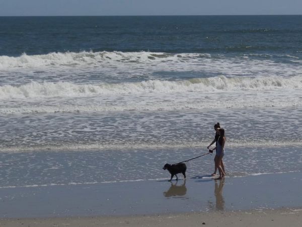 Folly Beach Home 1019576