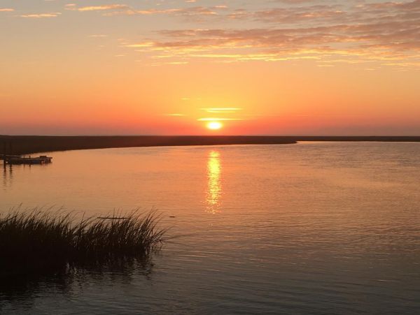 Folly Beach Home 1019589