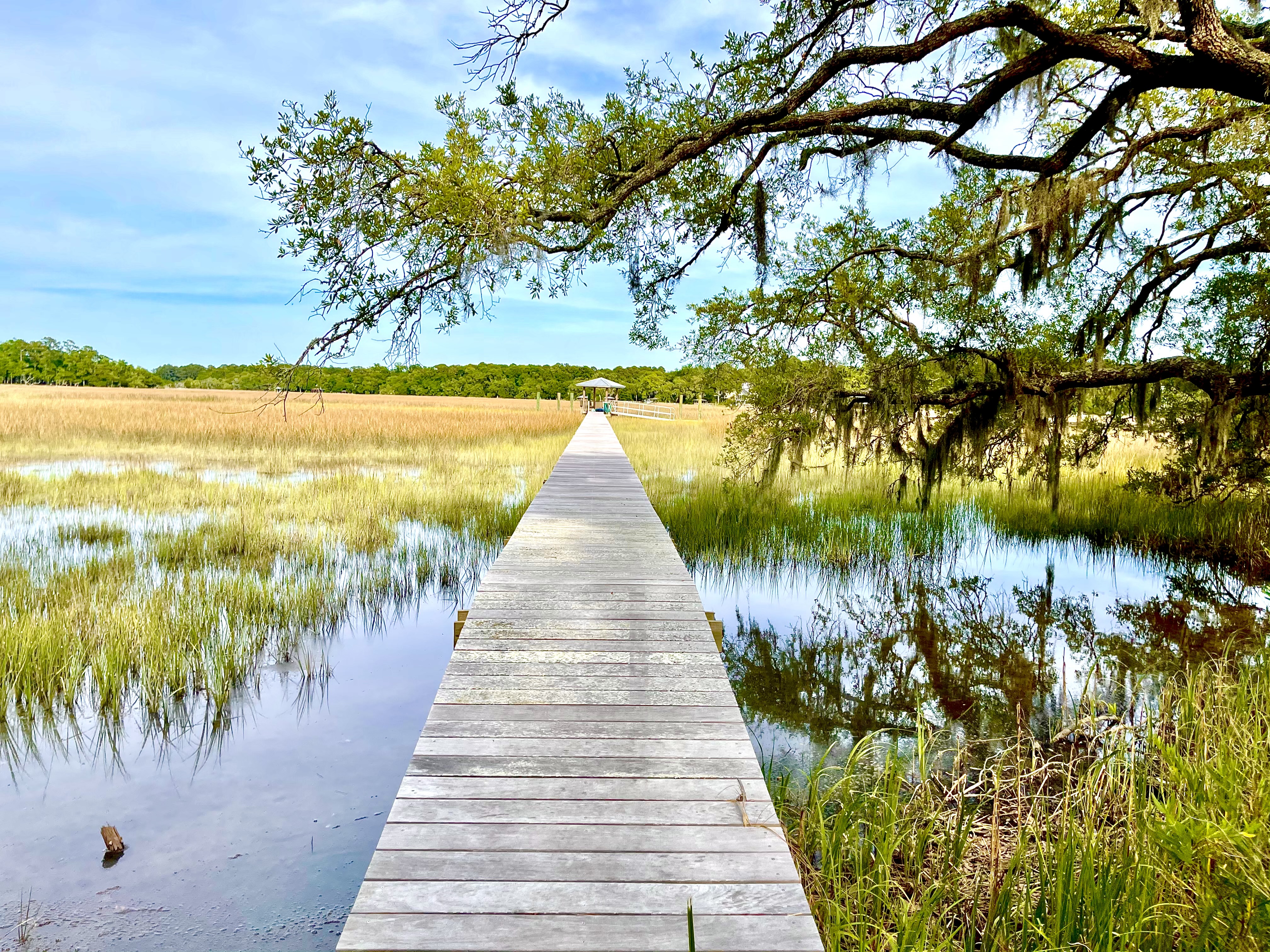 Folly Beach Home 1019593