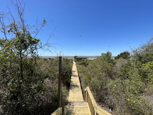 Folly Beach Home 1019598