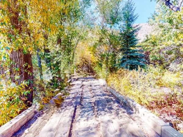 Snowmass Home 1019625