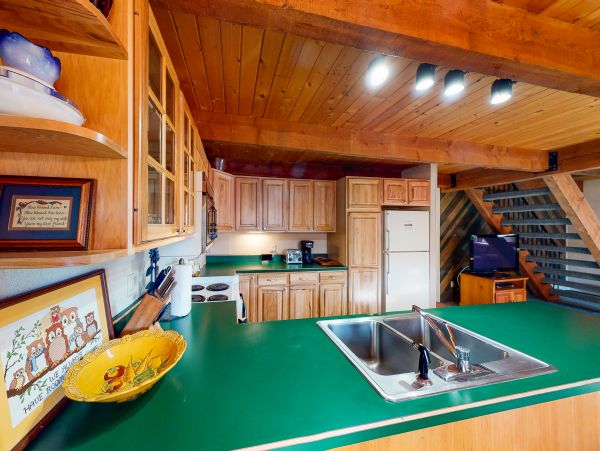 Snowmass Home 1019626