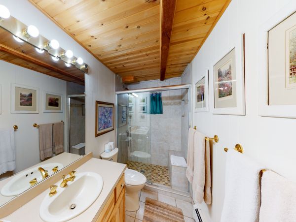 Snowmass Home 1019626