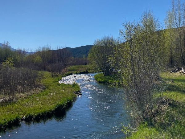 Snowmass Home 1019628