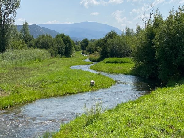 Snowmass Home 1019628