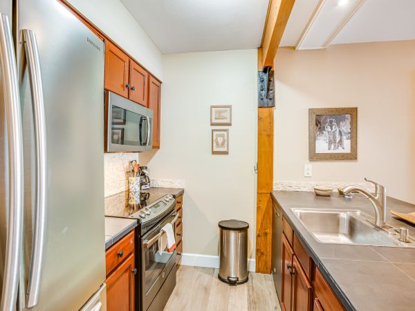 Snowmass Home 1019629