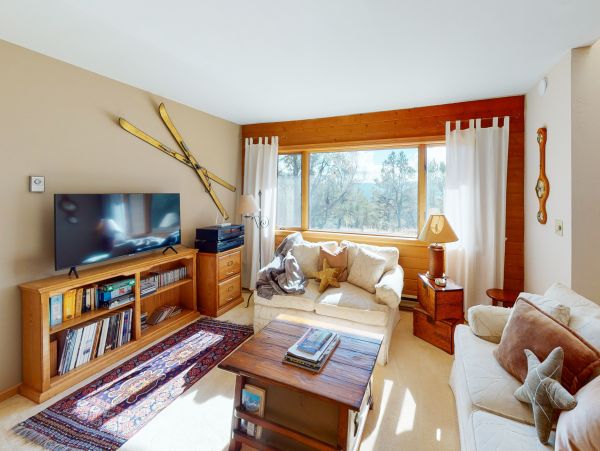 Snowmass Home 1019630