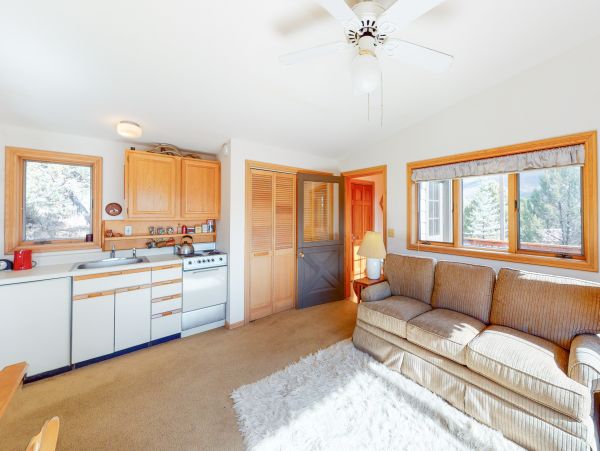 Snowmass Home 1019630