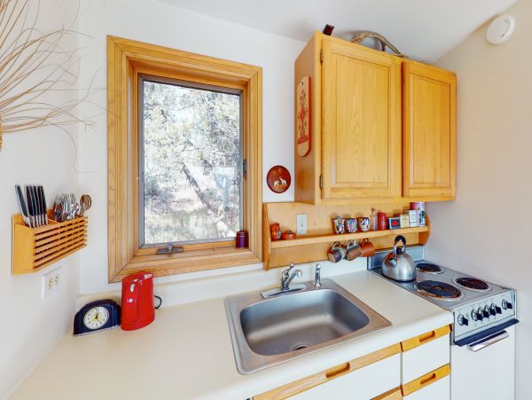 Snowmass Home 1019630