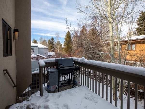 Snowmass Home 1019631