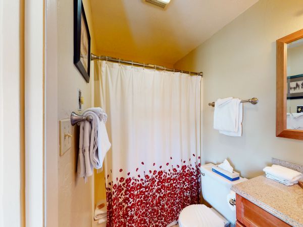 Snowmass Home 1019633