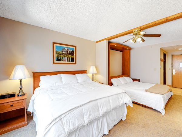 Snowmass Home 1019634