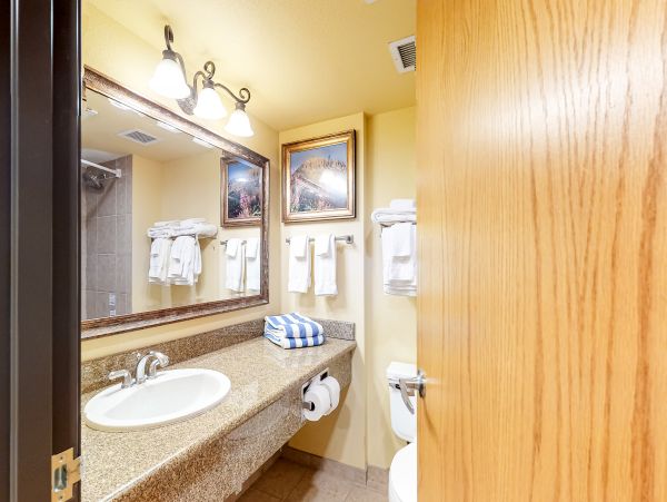 Snowmass Home 1019634