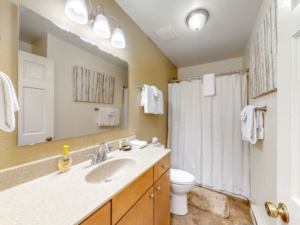 Snowmass Home 1019635