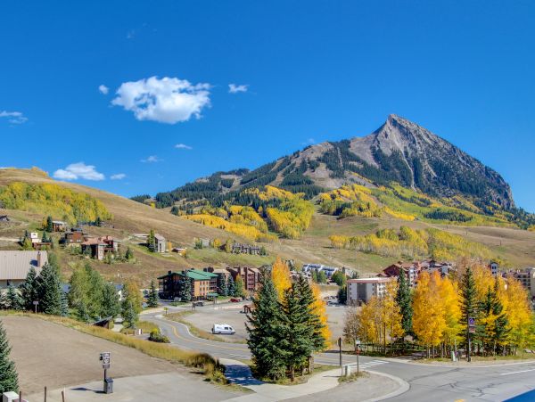 Snowmass Home 1019635