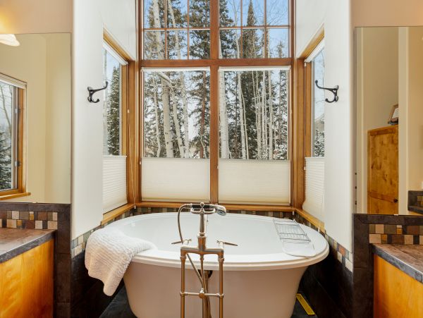 Snowmass Home 1019636