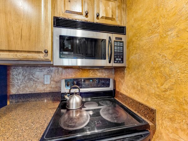 Snowmass Home 1019637