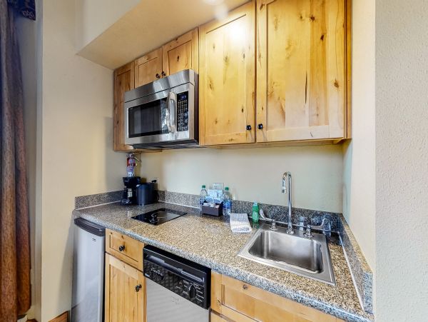 Snowmass Home 1019638