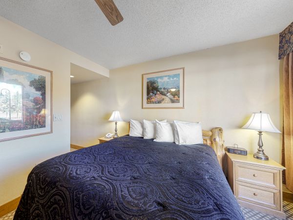 Snowmass Home 1019639