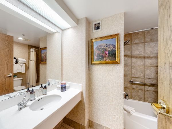 Snowmass Home 1019639