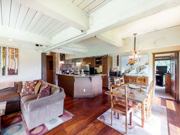 Snowmass Home 1019640