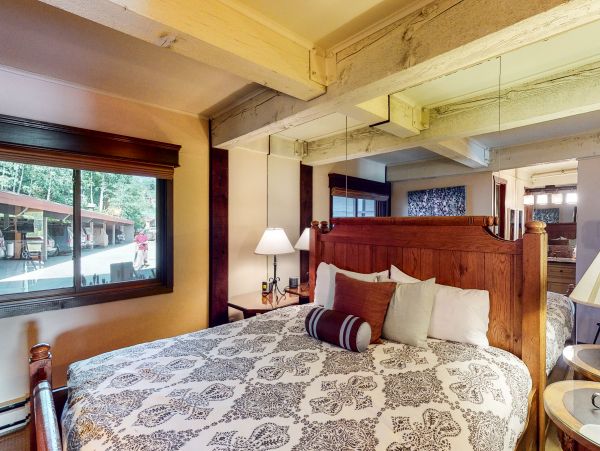 Snowmass Home 1019640